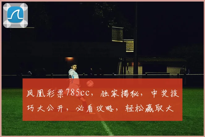 凤凰彩票785cc，独家揭秘，中奖技巧大公开，必看攻略，轻松赢取大奖
