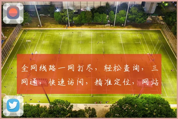 全网线路一网打尽，轻松查询，三网通，快速访问，精准定位，网站线路查询必备