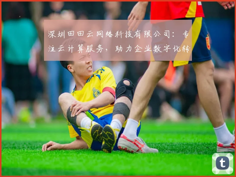 深圳田田云网络科技有限公司：专注云计算服务，助力企业数字化转型，三大优势助力成长，创新共赢