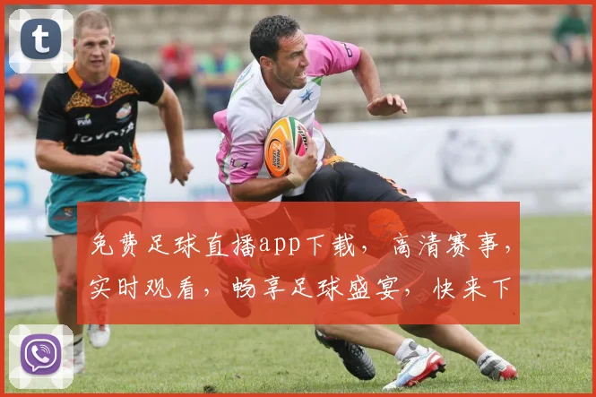 免费足球直播app下载，高清赛事，实时观看，畅享足球盛宴，快来下载体验