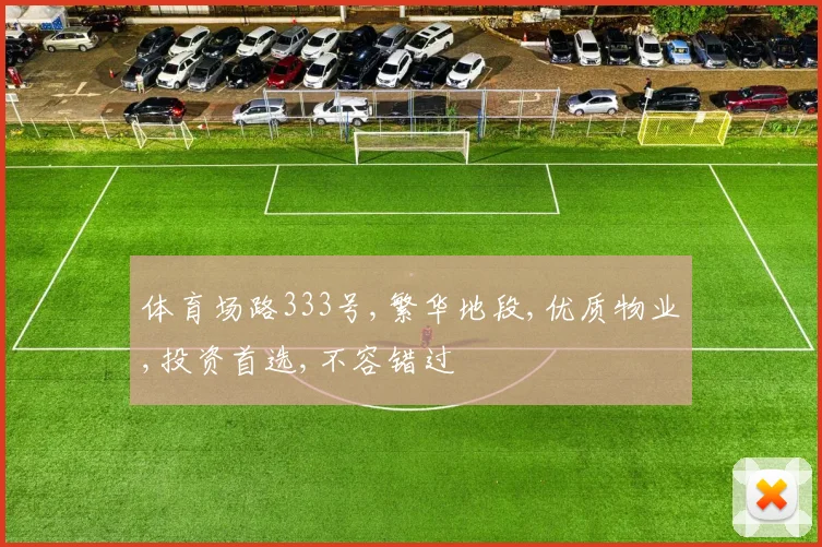 体育场路333号,繁华地段,优质物业,投资首选,不容错过